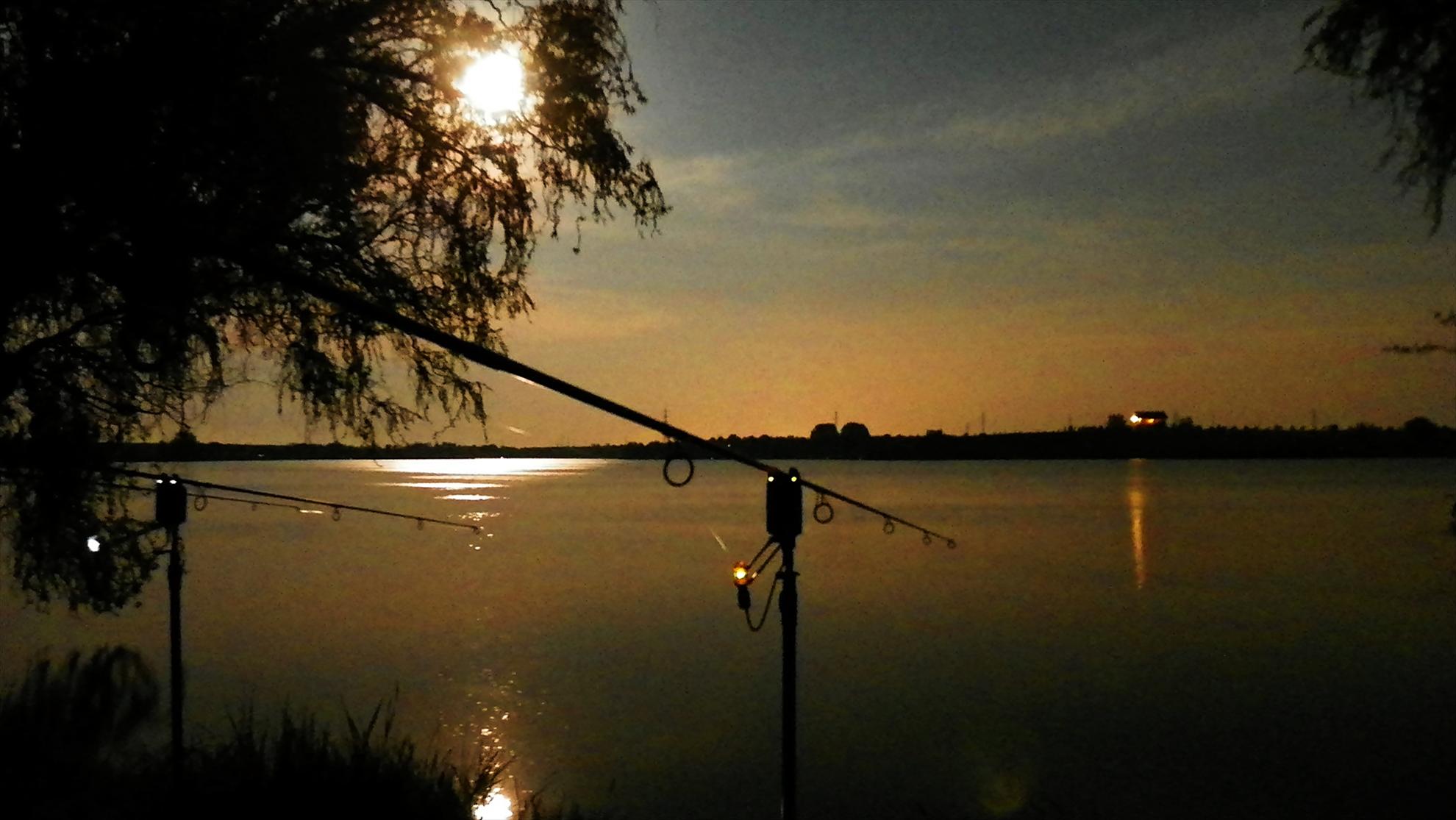 Crapmania - 2011 - 1001137.JPG